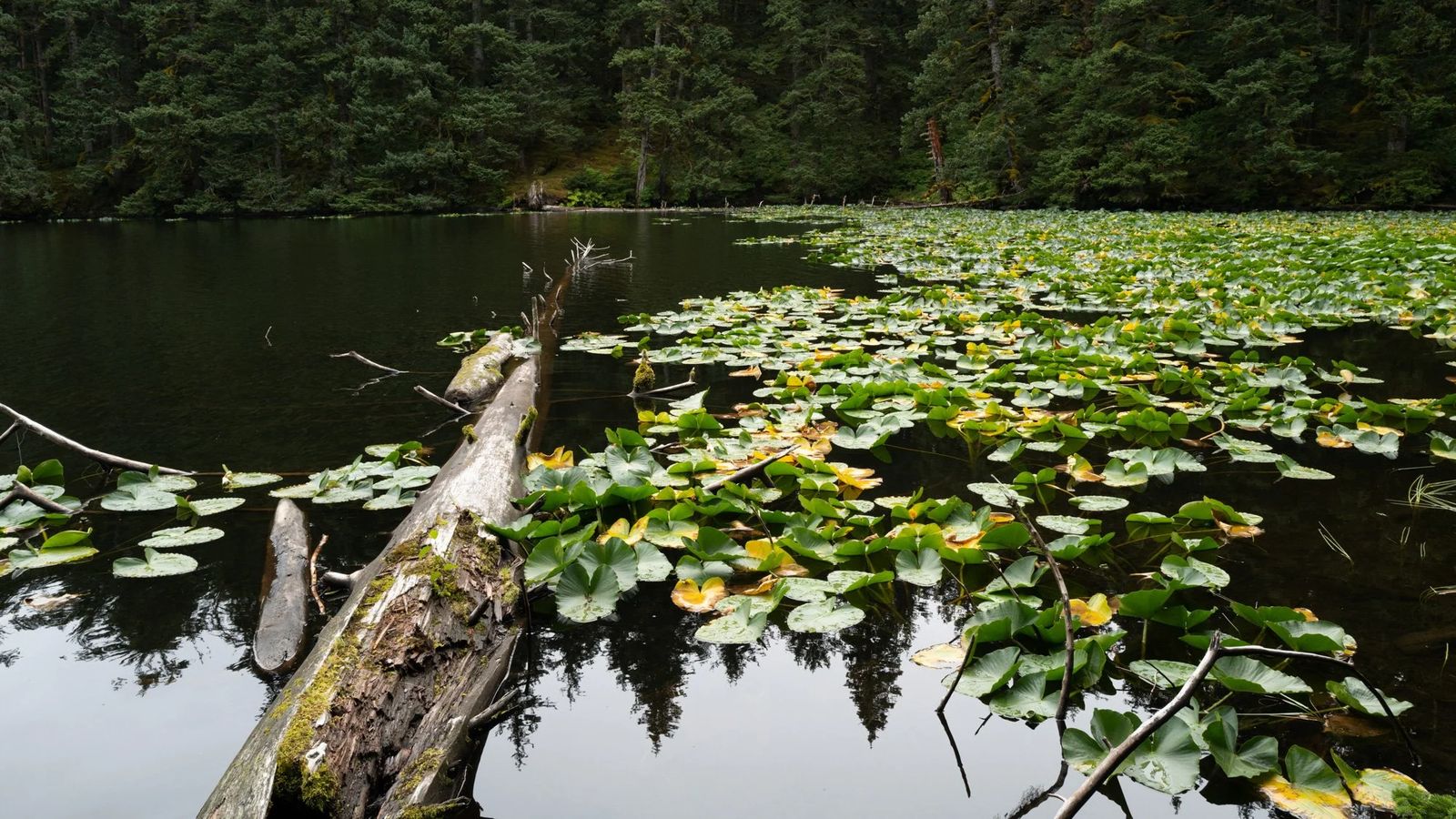 Alaska, photograph 11 of 34