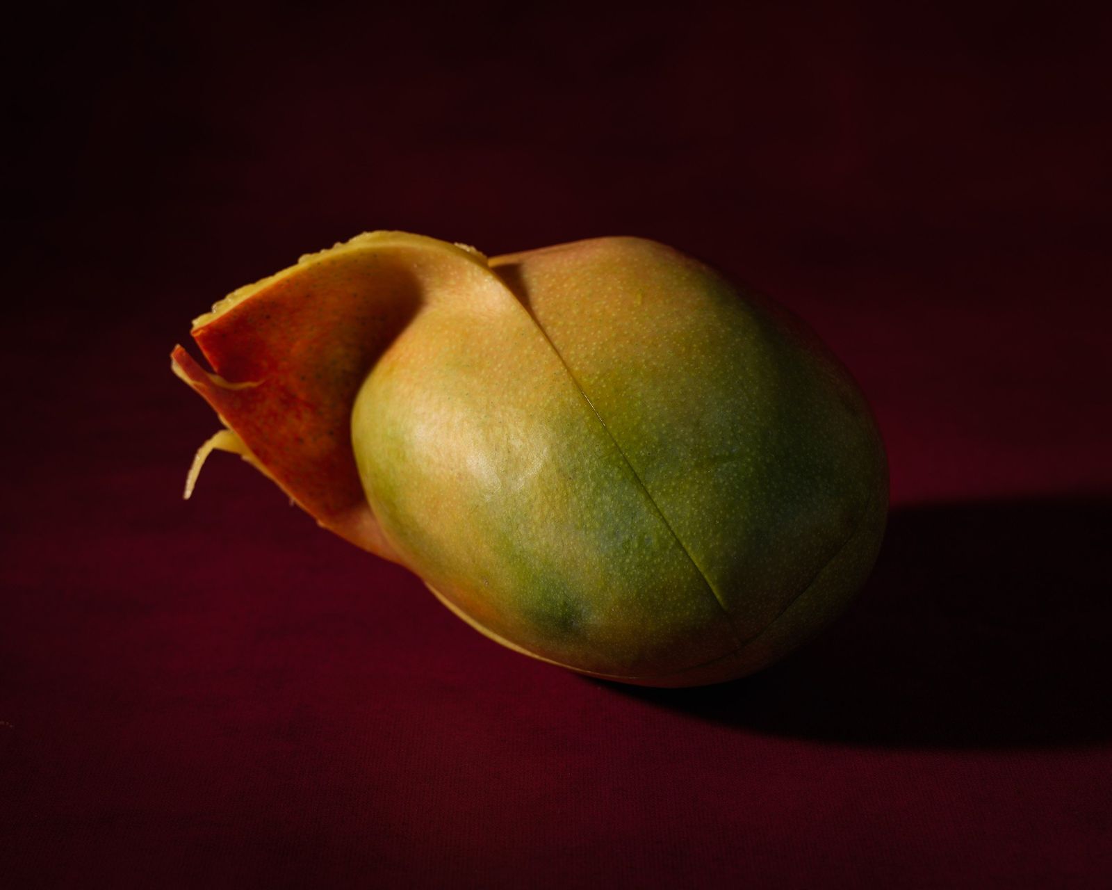 Dark Warmth, photograph 8 of 14