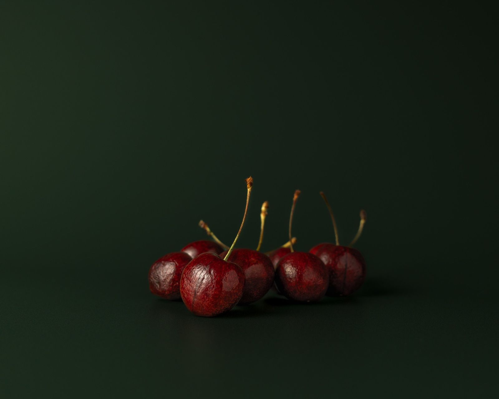 Dark Warmth, photograph 2 of 14